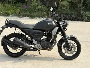 Yamaha FZ-X , 2023