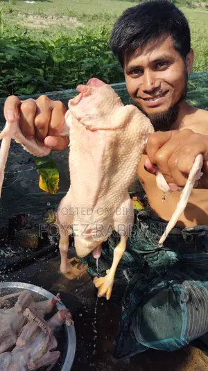 হাঁস খেতে খুবই সুস্বাদু এবং রেডি টু কুক