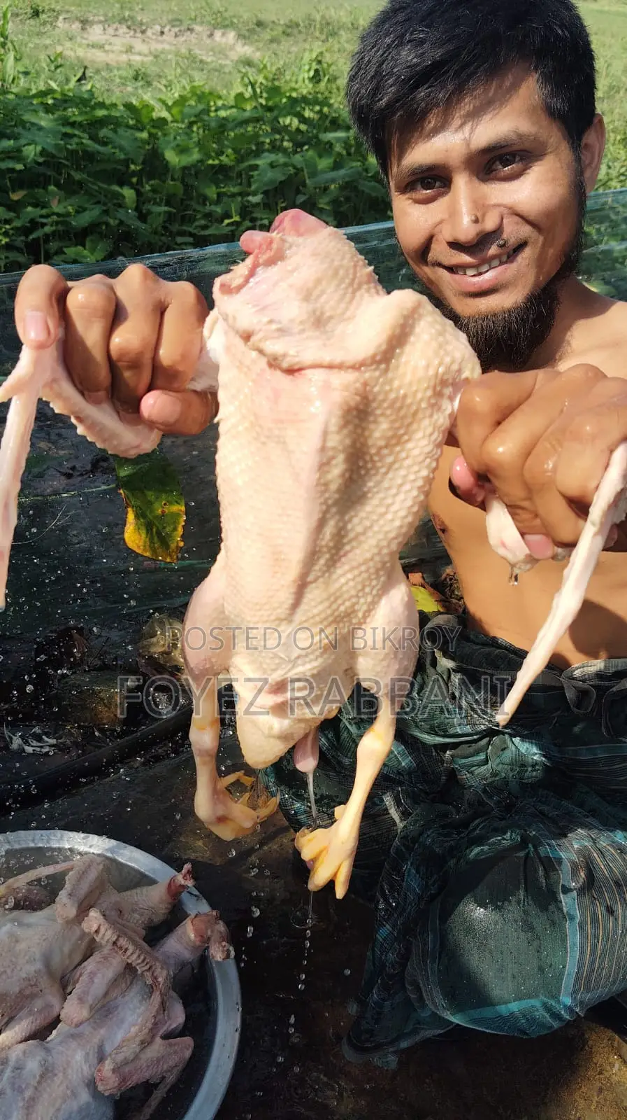 হাঁস খেতে খুবই সুস্বাদু এবং রেডি টু কুক