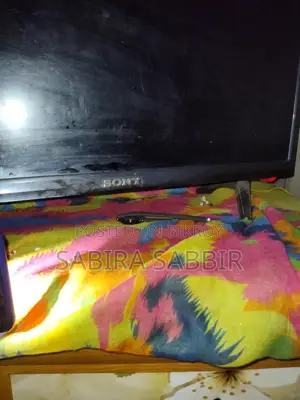 24-inch Sony TV, need money urgently