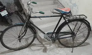 Hero Royal 24"