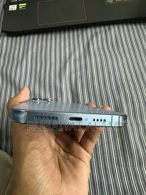 Apple iPhone 13 Pro Max (Used)