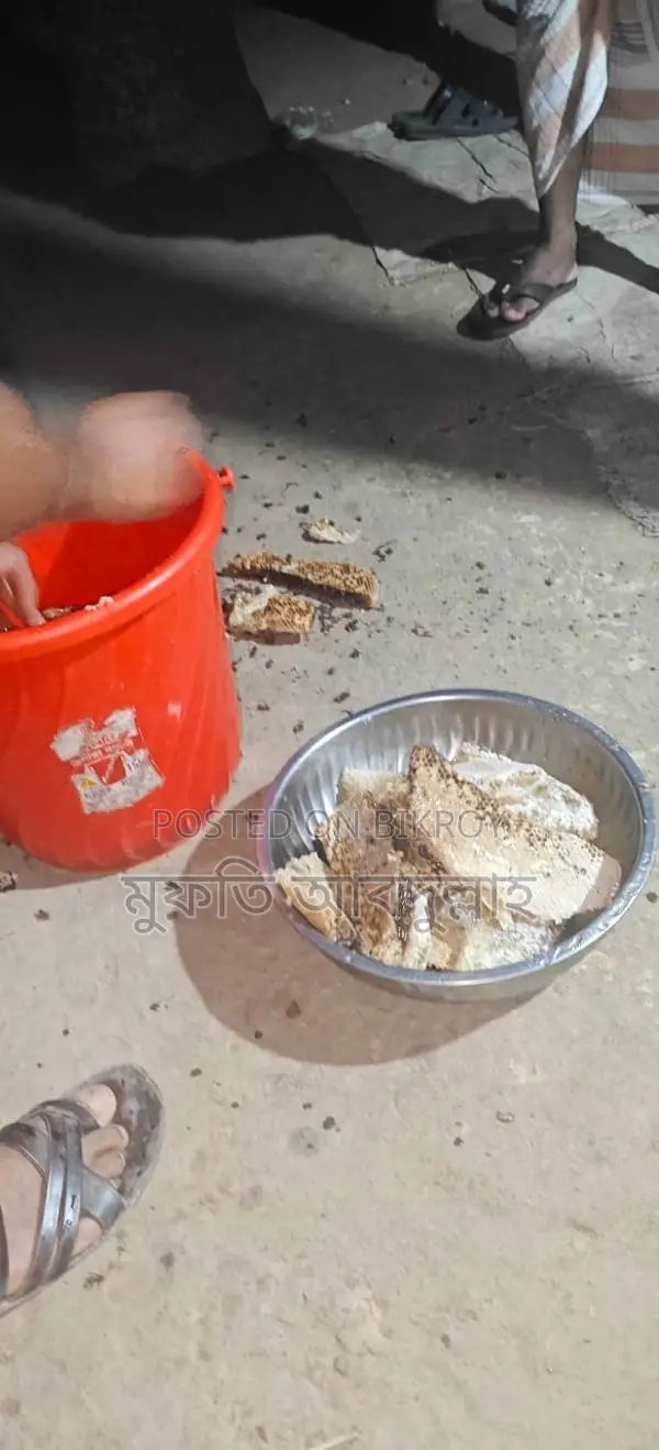 চাকের মধু