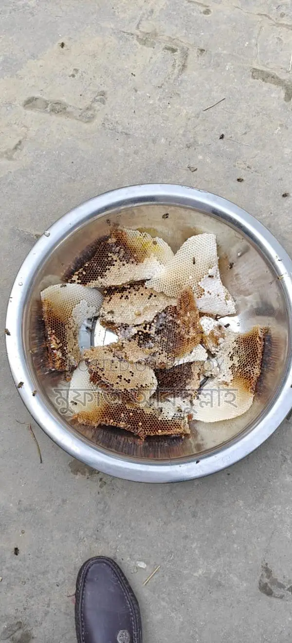চাকের মধু