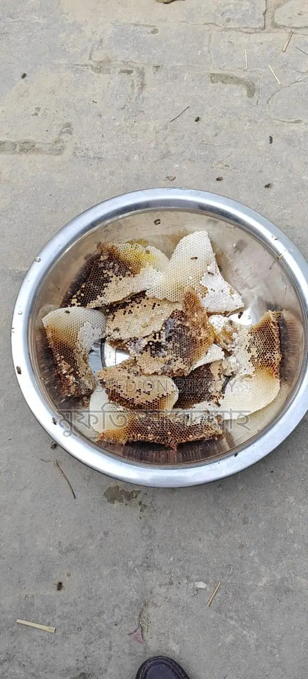 চাকের মধু