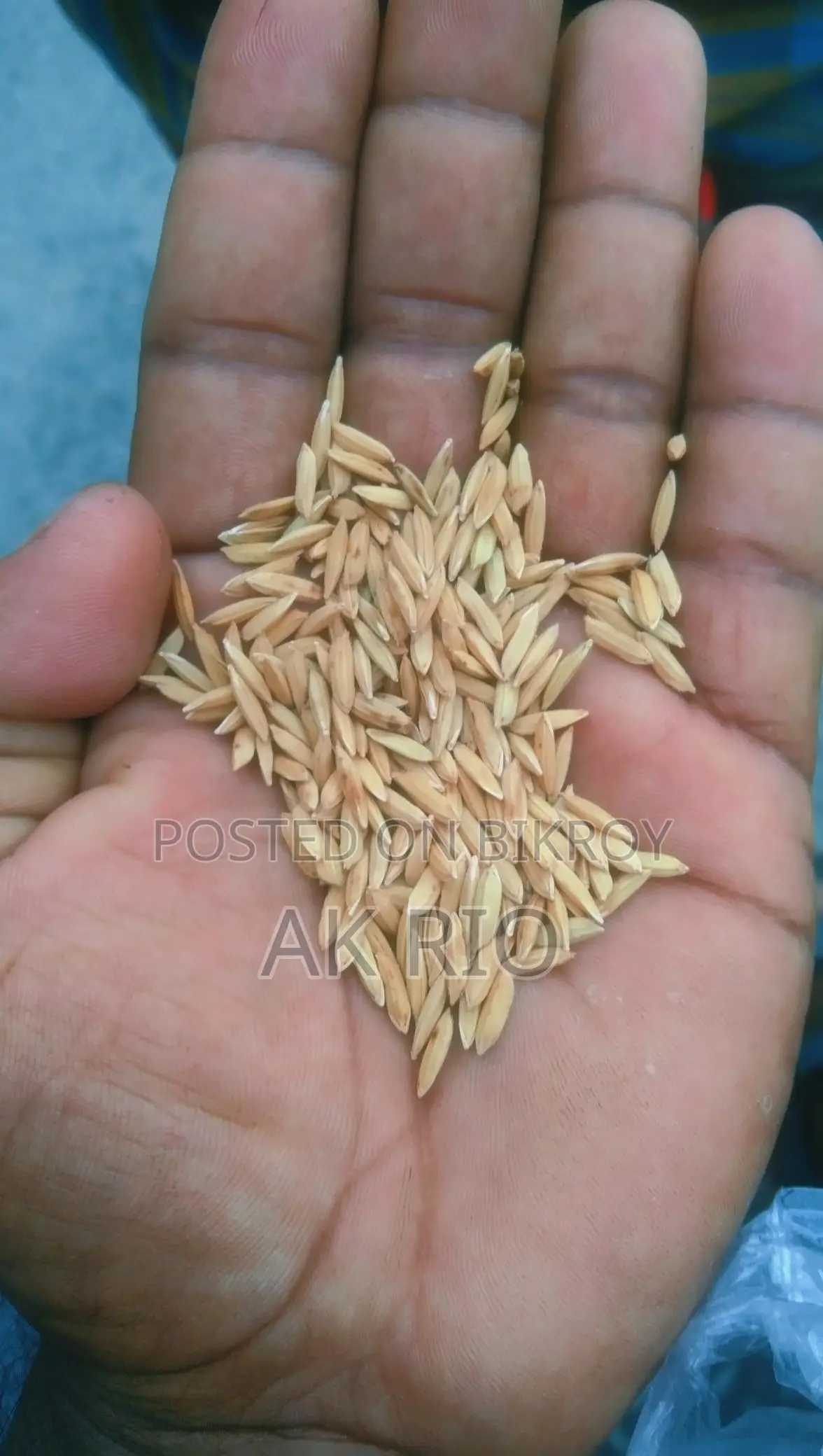পিওর ২৮ ধান বিক্রি