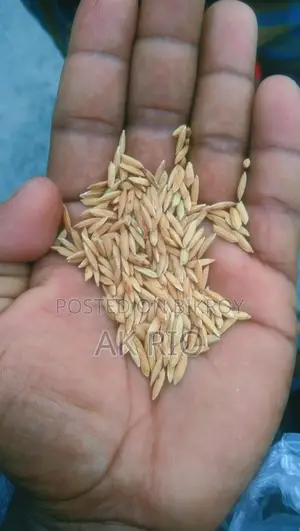 পিওর ২৮ ধান বিক্রি