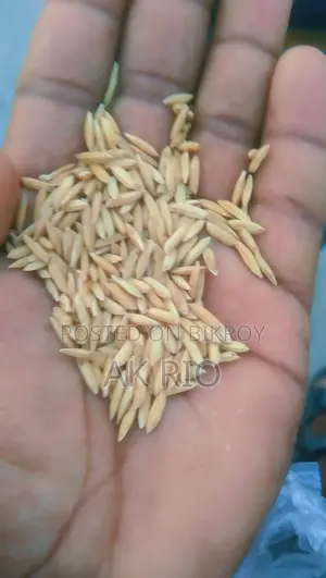 পিওর ২৮ ধান বিক্রি