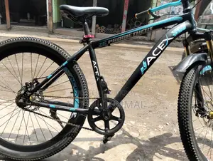 2025 Model Bicycle