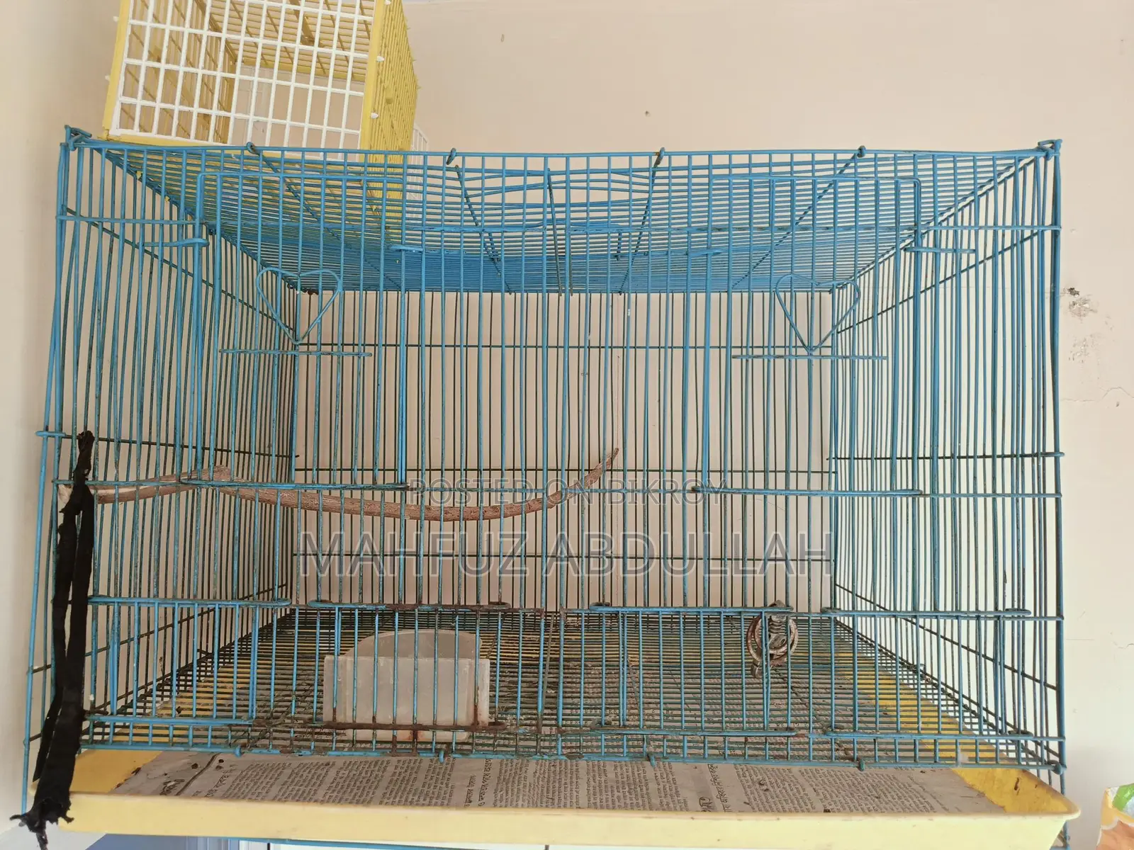 2 Pis Cage /খাঁচা