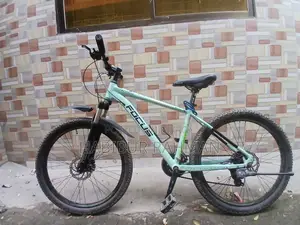 Focus Cycle