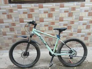 Focus Cycle