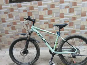 Focus Cycle