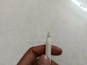Gen 2 Ipad Pen
