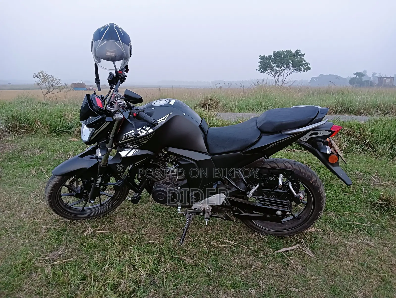 Yamaha FZS . 2024