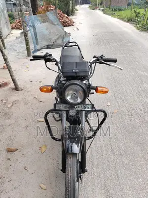 Runner Bullet 100 . 2017