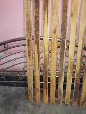 Stainless Steel Bed