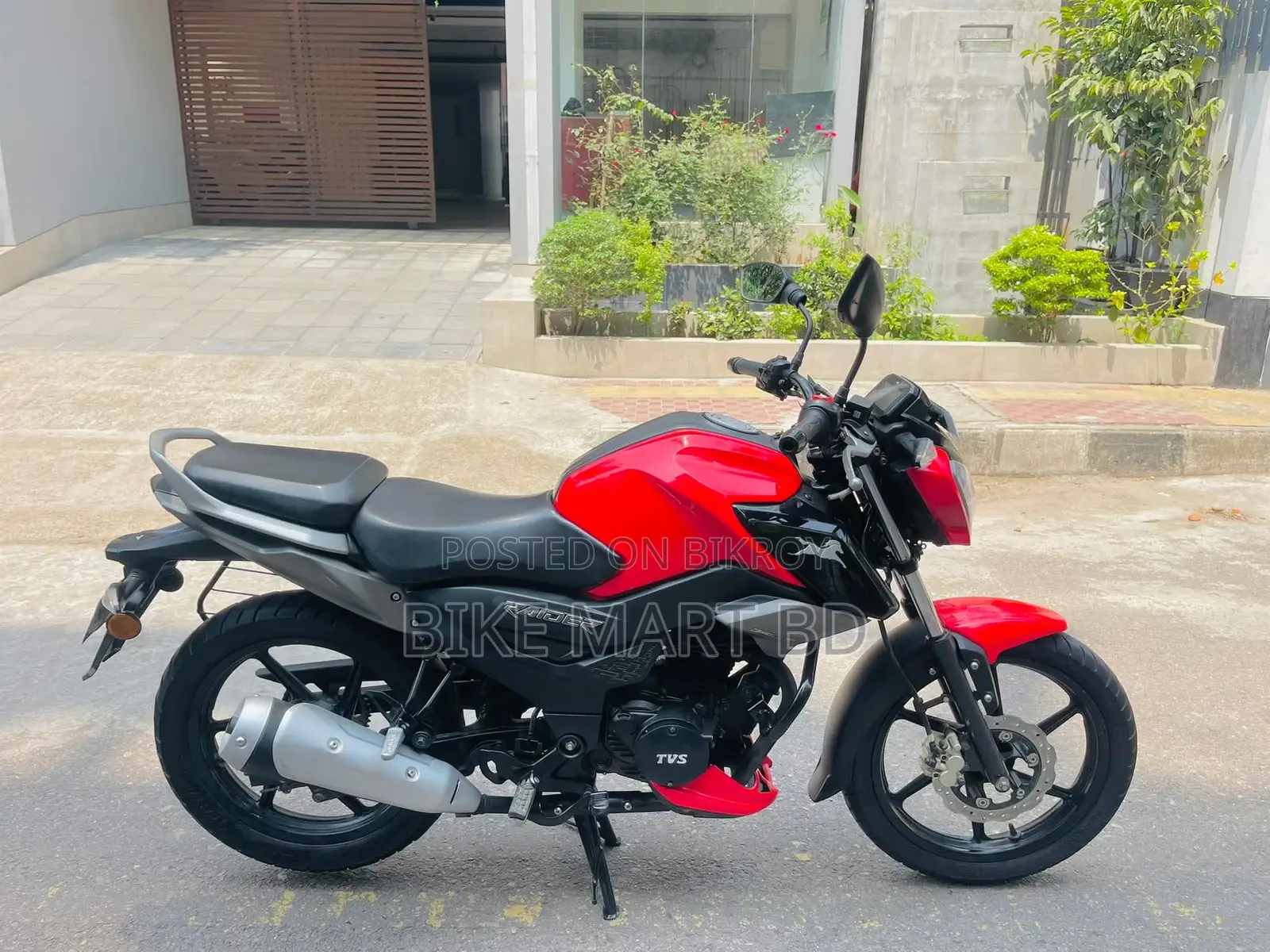 TVS Raider 125 2024 Red