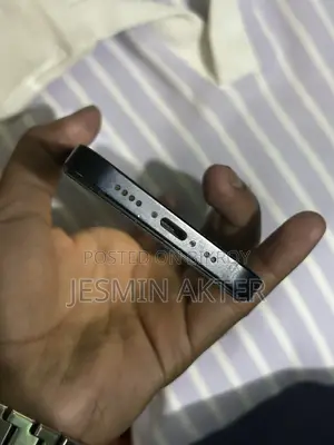 Apple iPhone 12 Mini (Used)