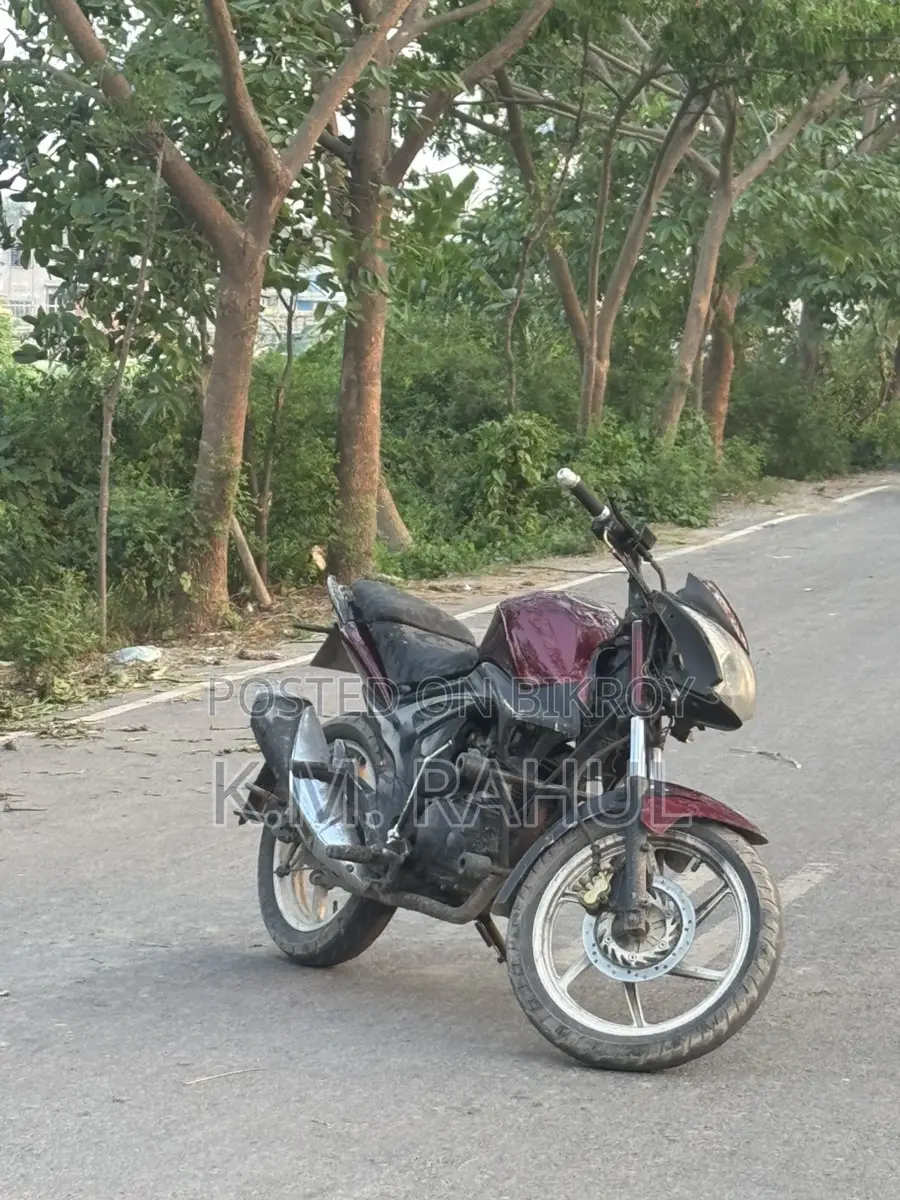 Runner KnightRider . 2015