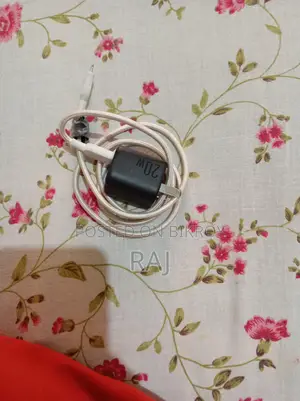 Apple iPhone 12 Pro Max Charger (Used)