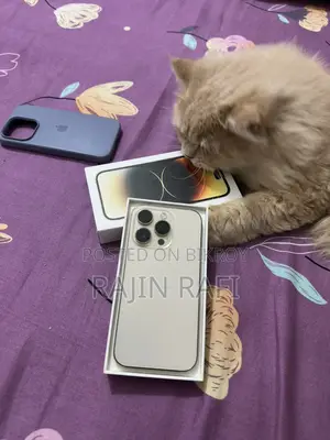 Apple iPhone 14 Pro (Used)