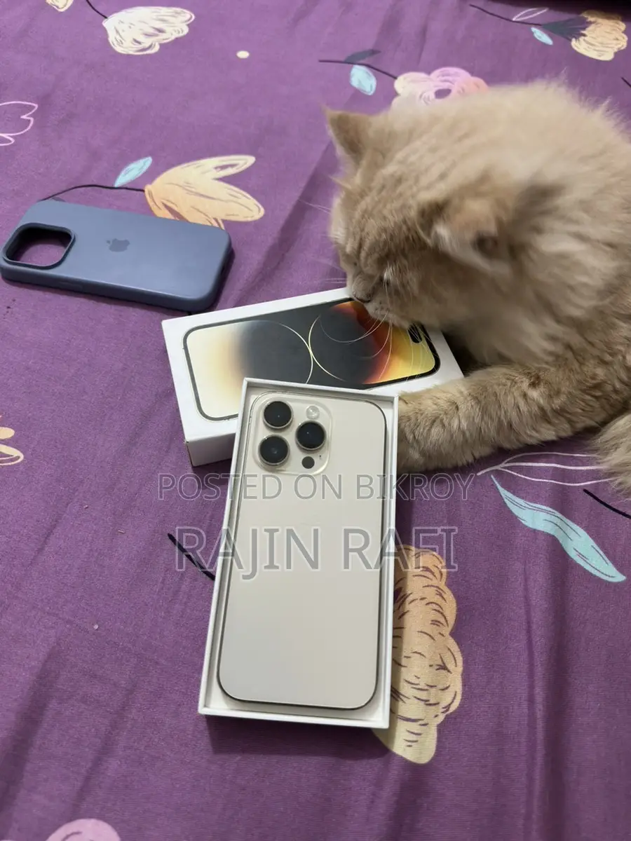 Apple iPhone 14 Pro (Used)