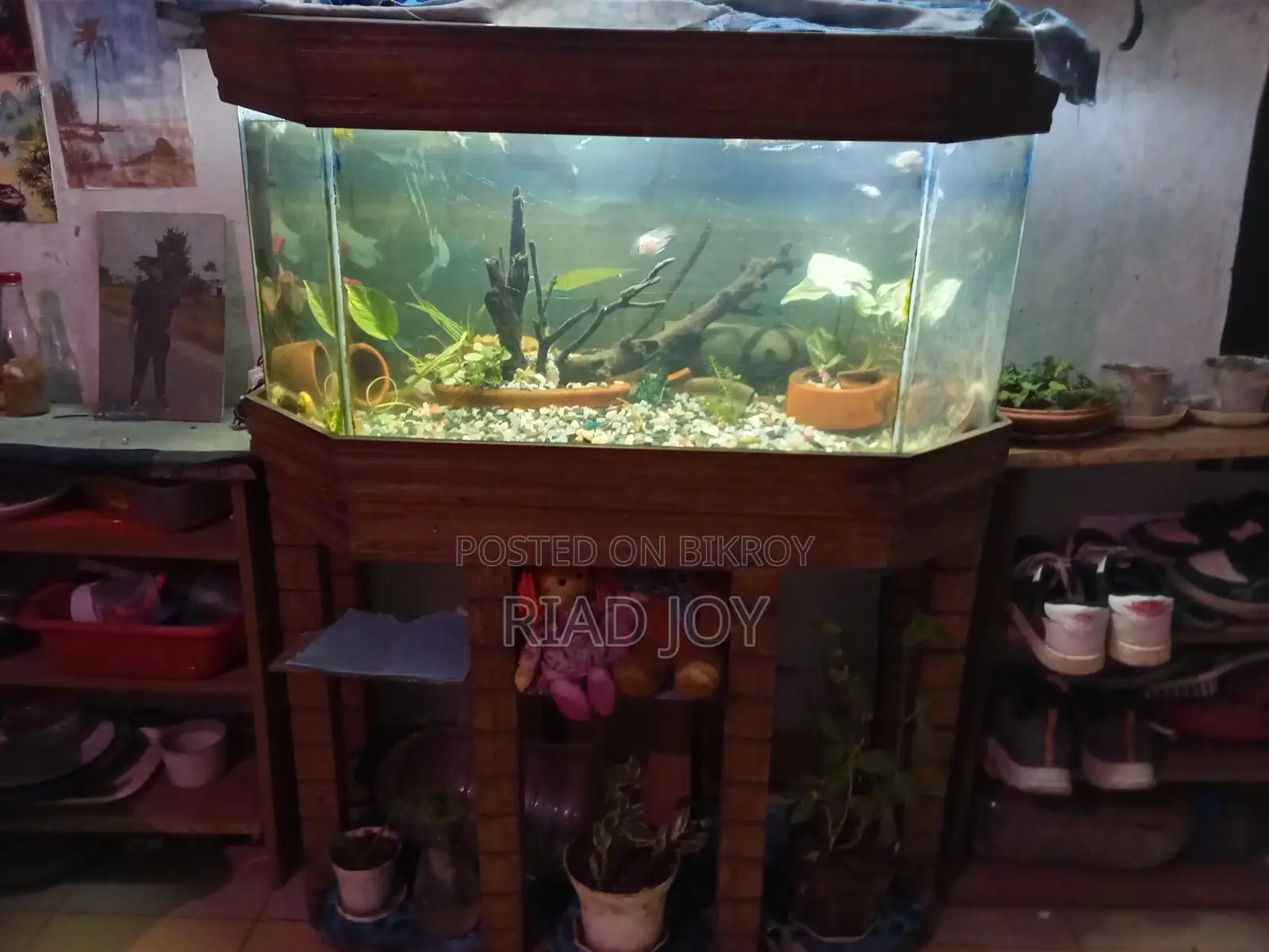 4 Feet Aquarium For Sell with Full Setup...