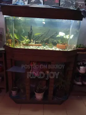 4 Feet Aquarium For Sell with Full Setup...