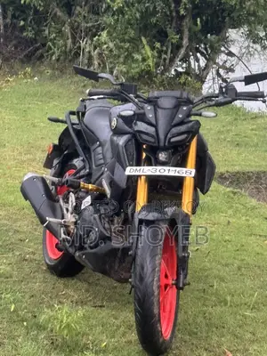 Yamaha MT 15 . 2023