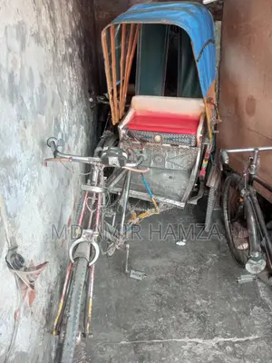 Battery Rickshaw for sale