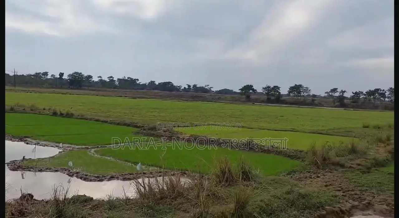 73 Bigha Land for Sale in Two Plots in Companiganj, Sylhet