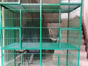 কবুতর ও পাখির খাচা