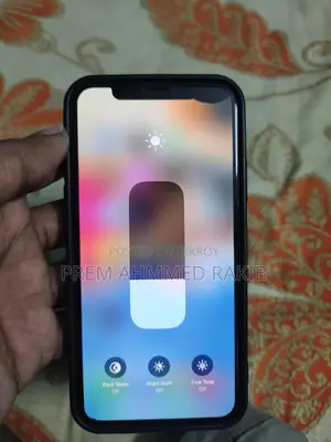 Apple iPhone X (256) (Used)