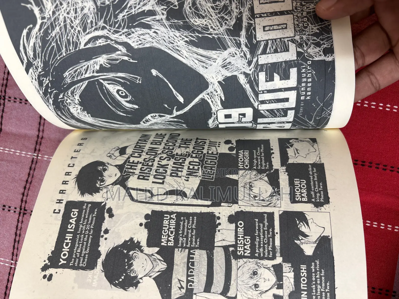 Blue Look Volume 19