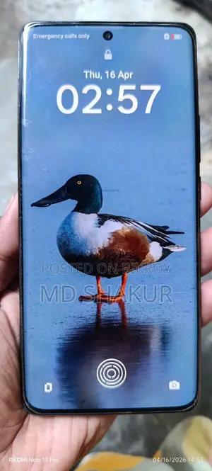 OPPO Reno 11 (Used)