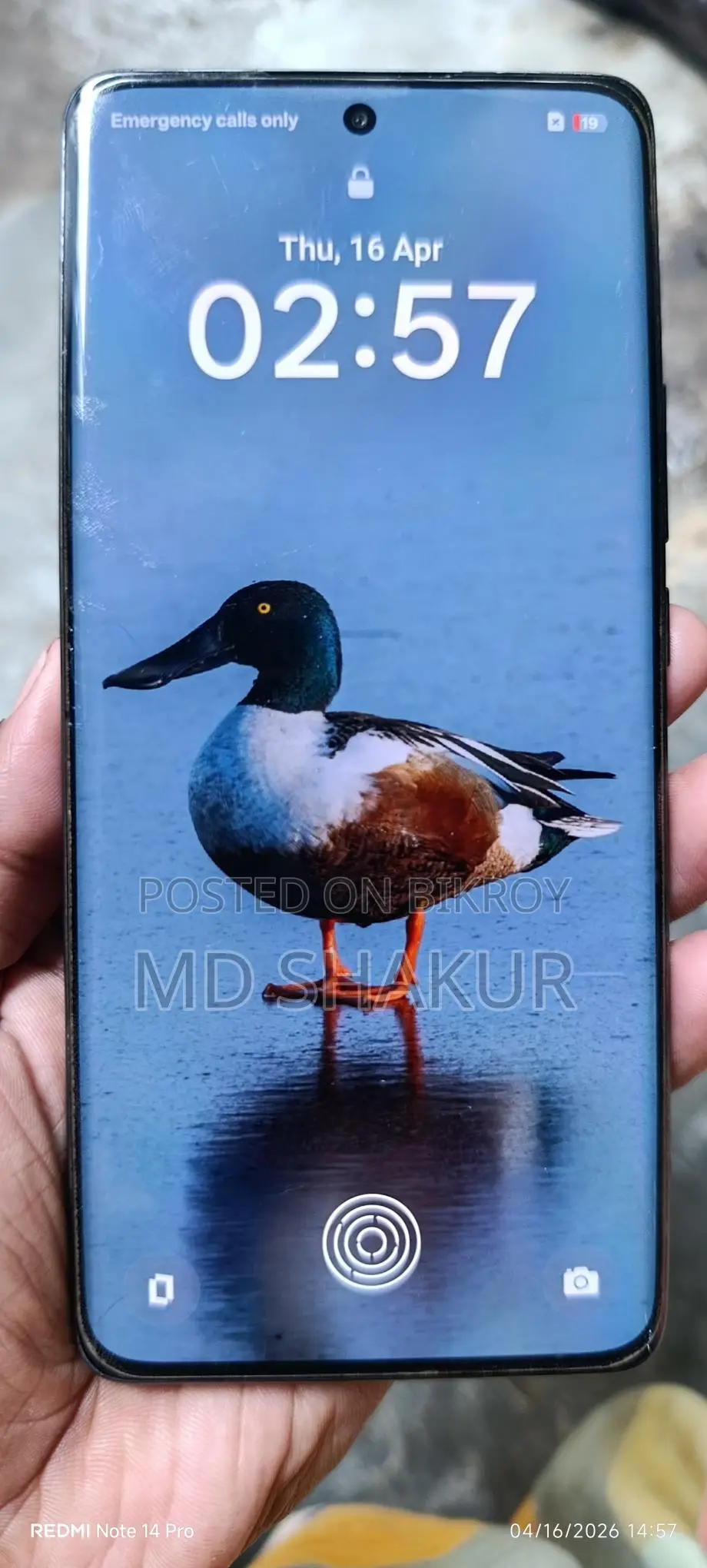 OPPO Reno 11 (Used)