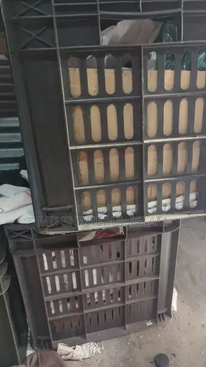 Plastic Crates
