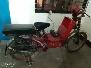 Green Tiger Battery-Powered Bike 2024