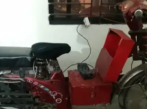 Green Tiger Battery-Powered Bike 2024
