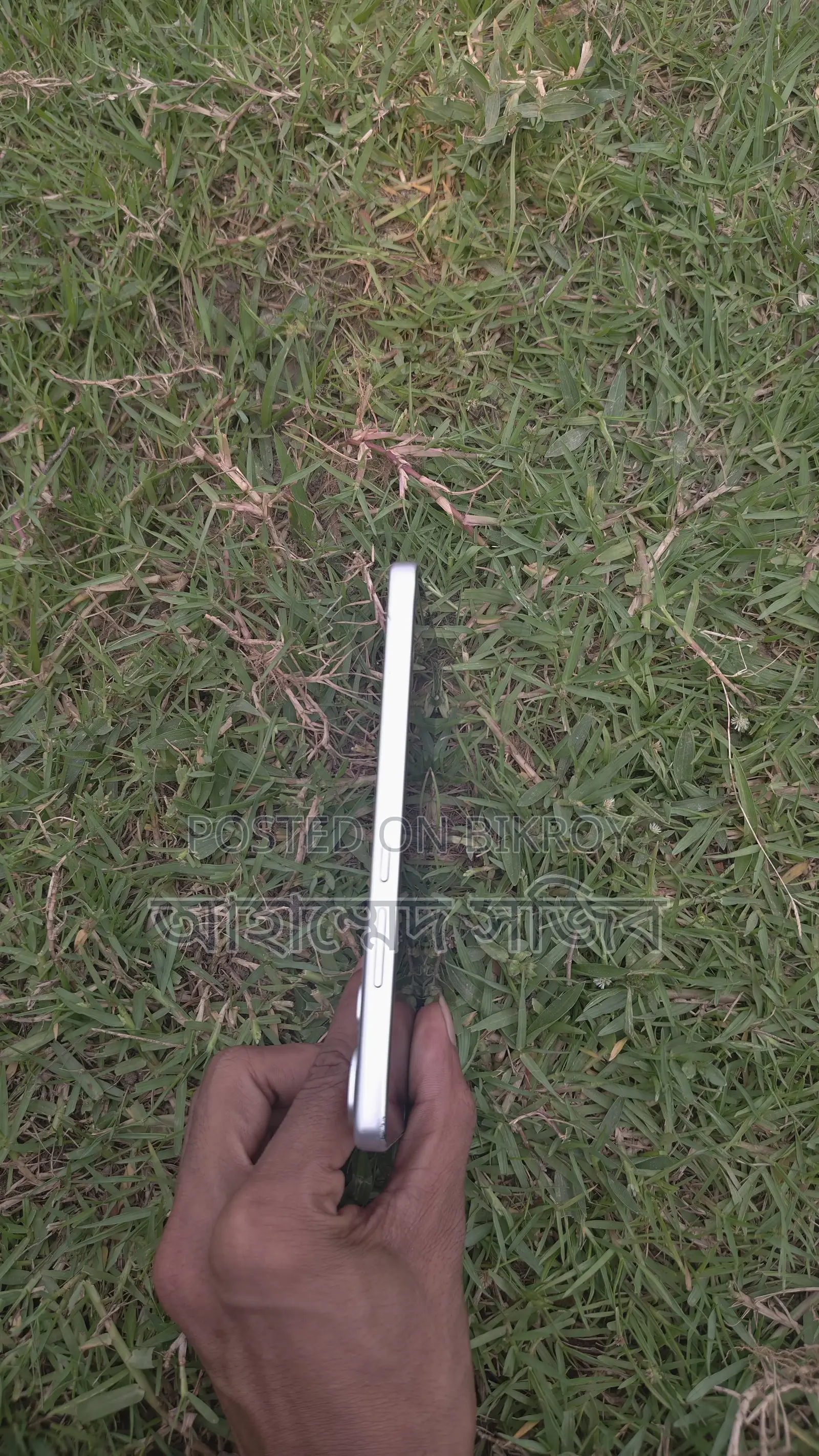 Vivo (Used)
