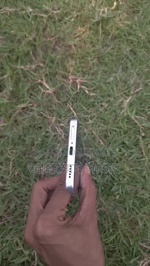 Vivo (Used)