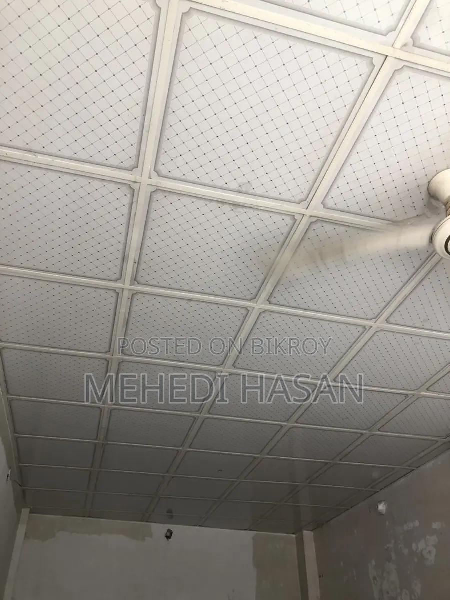 Shop Ceiling for Sale