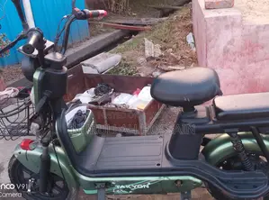 Walton E-Bike 2025