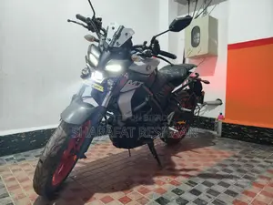 Yamaha MT 15 V1 Indian 2021