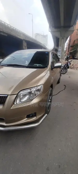Toyota Axio silver golden 2007