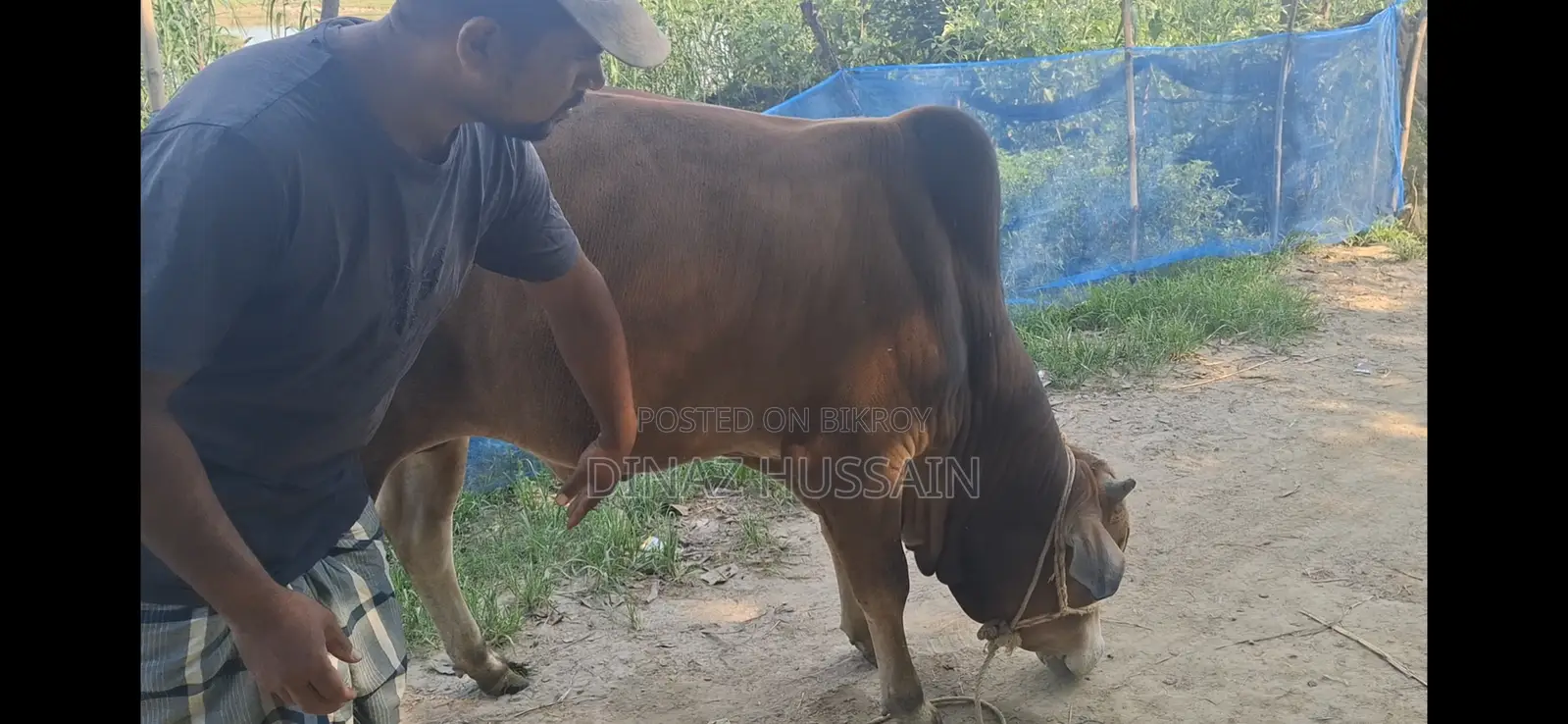 Sahial Sar Goru