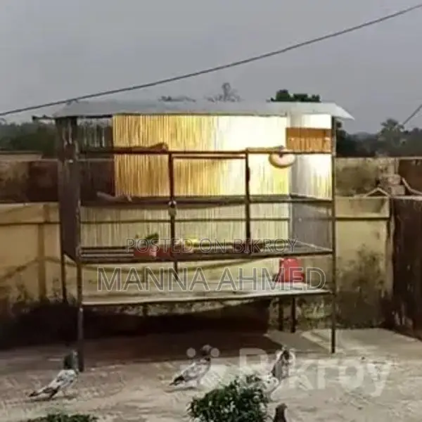 খাচা ৫ ফিট বাই ৩ উচ্চতা ৬
