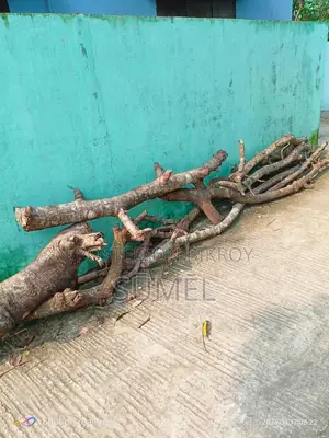 Firewood for Sale