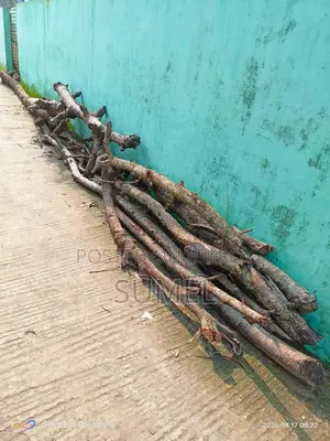 Firewood for Sale